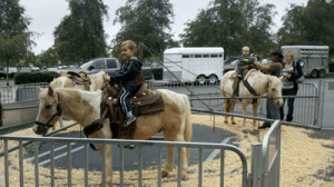 Pony Ride
