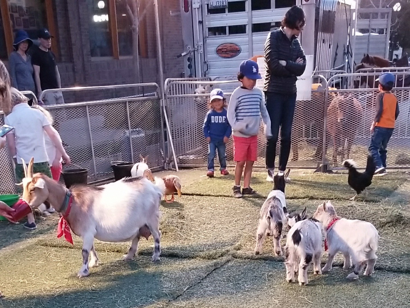 Petting Zoo_Monrovia